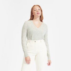 Everlane Frost Donegal Cashmere V-Neck